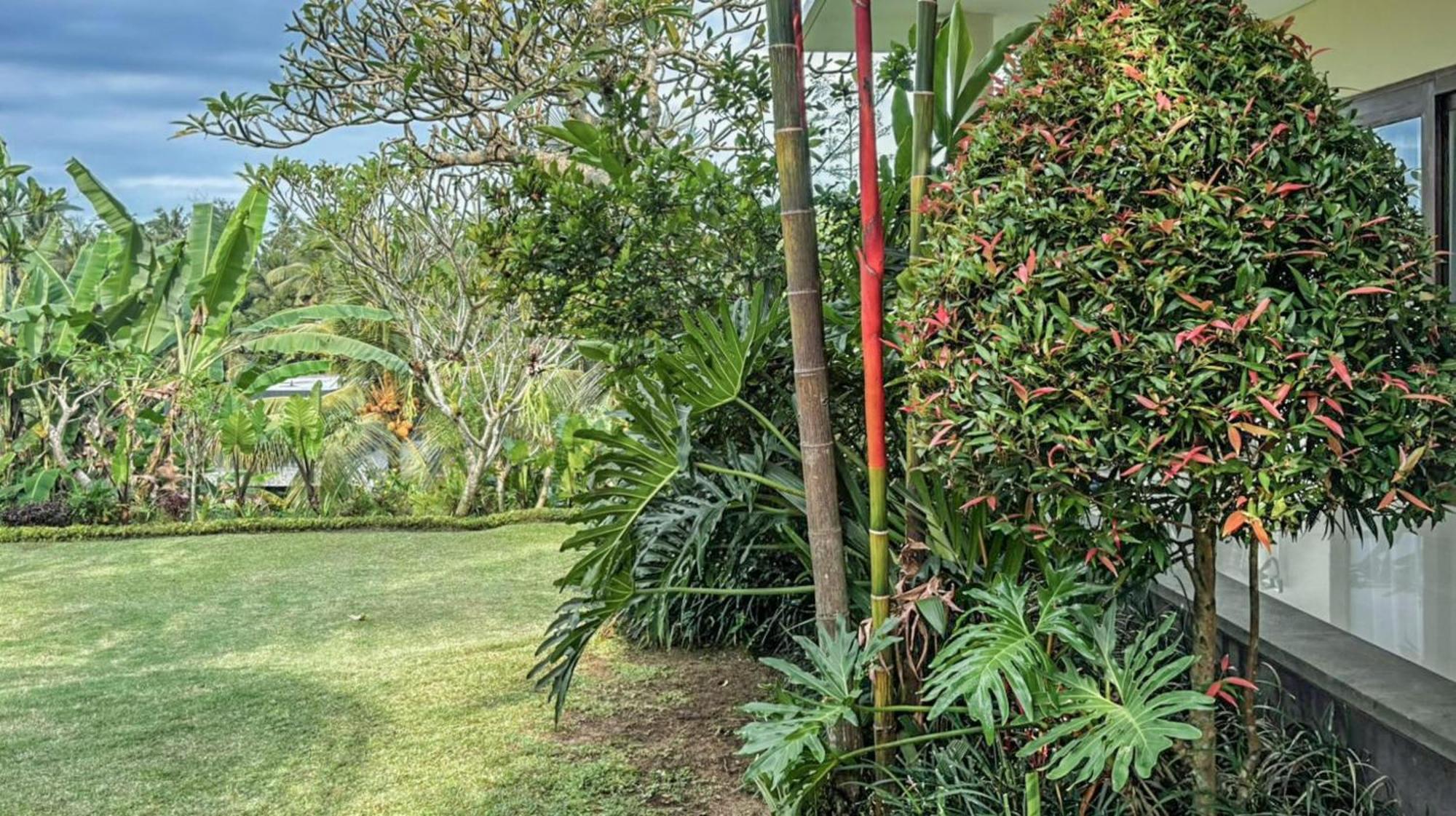 Dlobong Suite Ubud Экстерьер фото